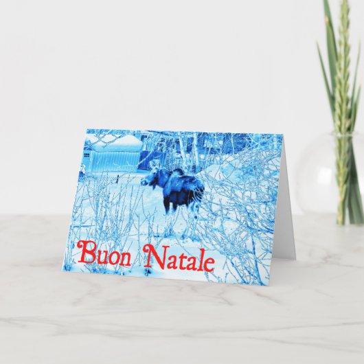 ブオンナターレ – アーバンムース シーズンカード (正面)