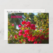 ブガインビリア州ブセリア ポストカード (正面/裏面)