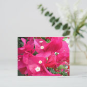 ブガンビラ ポストカード (スタンド正面)