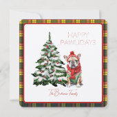 ブキャナンモダンタータンチェックハッピーパーリデイズドッグ (正面)