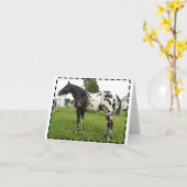 ブギウギの蜂のジェット機のメッセージカード カード (黄色い花)