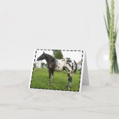 ブギウギの蜂のジェット機のメッセージカード カード (正面)