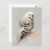 ブギーポートレートNo.11はがき ポストカード (正面/裏面)