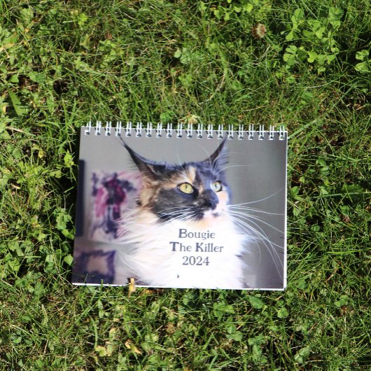 ブギーレインカリコメーンクーンキャット カレンダー