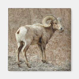 ブグールンヒツジ磁石 マグネット