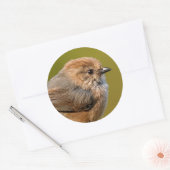 ブシュティット春 ラウンドシール (封筒)