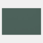 ブシンプルランズウィックグリーン ラッピングペーパーシート (正面2)