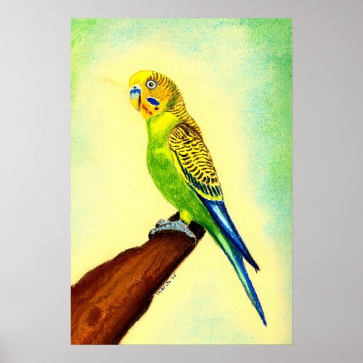 ブジバードーポートレート ポスター (正面)