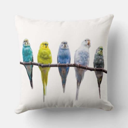 ブジーズ クッション (裏面)