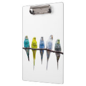 ブジーズ クリップボード (左)