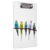 ブジーズ クリップボード (右)