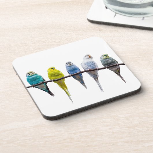 ブジーズ コースター (左側)