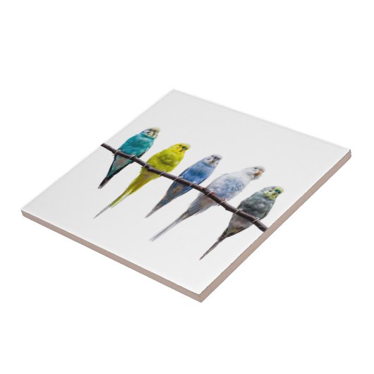 ブジーズ タイル (側面)