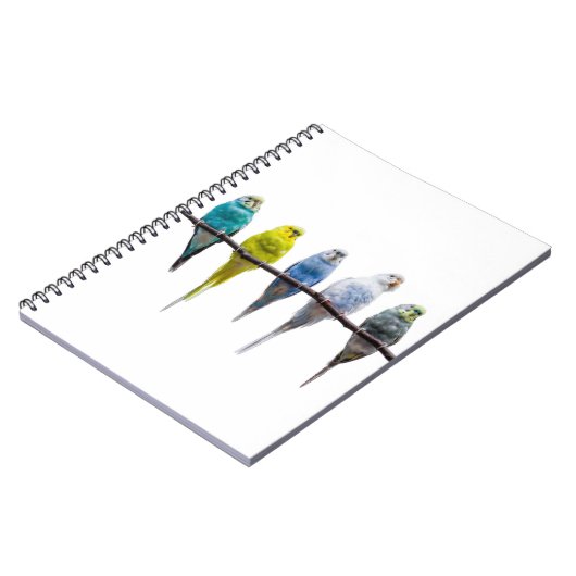 ブジーズ ノートブック (左側)