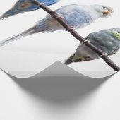 ブジーズ ラッピングペーパー (角)