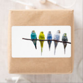 ブジーズ ラベル (インサイチュ)