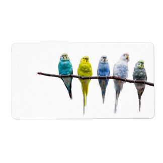 ブジーズ ラベル