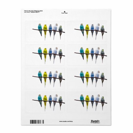 ブジーズ ラベル (フルシート)