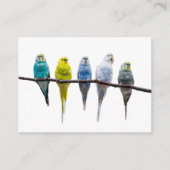 ブジーズ 名刺 (正面)