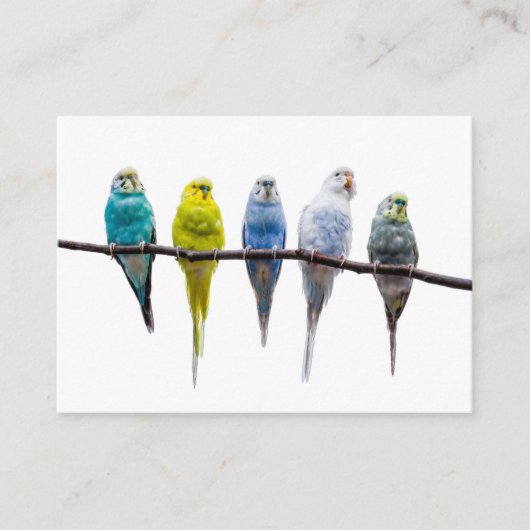 ブジーズ 名刺 (正面)