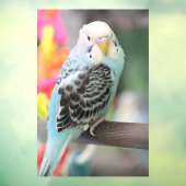 ブジー ウィンドウサイン (シート3)