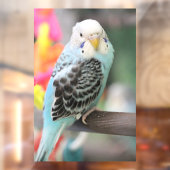 ブジー ウィンドウサイン (シート2)