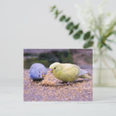 ブジー ポストカード (スタンド正面)