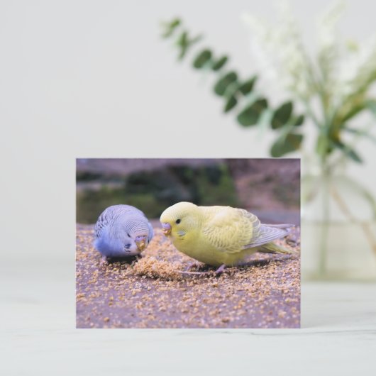 ブジー ポストカード (スタンド正面)