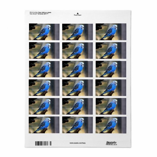 ブジー ラベル (フルシート)