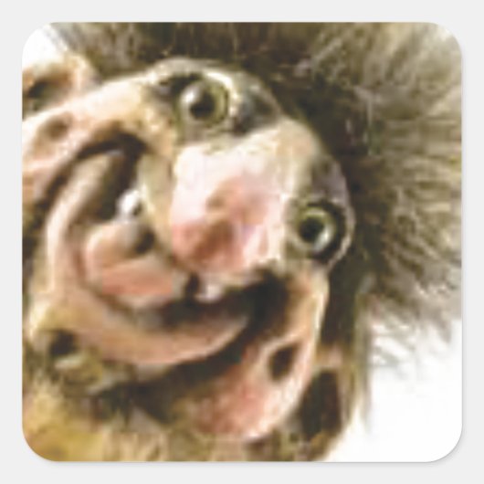 ブスタトロル スクエアシール (正面)