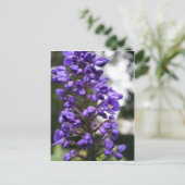 ブス ポストカード (スタンド正面)