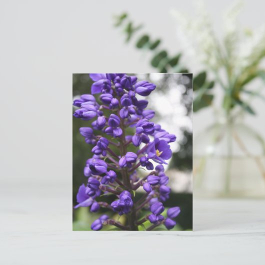 ブス ポストカード (スタンド正面)