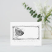 ブタによる"ブタ"。 無署名。 壁の泥 ポストカード (スタンド正面)