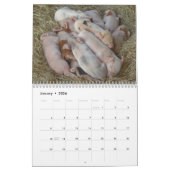 ブタの壁掛けカレンダー- 2018年にスマイル カレンダー (1月 2026)