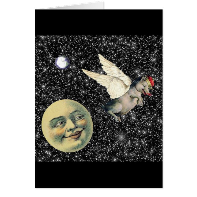 ブタの夢 (正面)