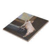 ブタの影 タイル (側面)