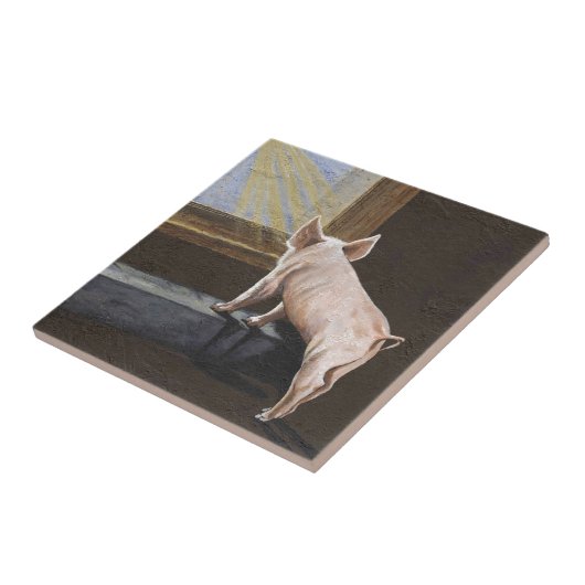 ブタの影 タイル (側面)