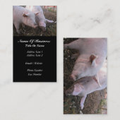 ブタの農家の名刺 名刺 (正面/裏面)