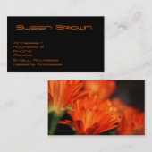 ブタの顔の名刺 名刺 (正面/裏面)