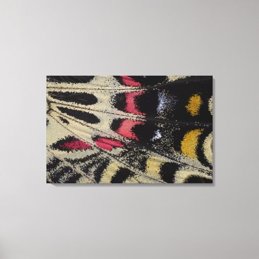 ブタン炎マンズフィルディの翼の下面を閉じる キャンバスプリント (正面)