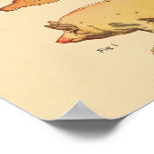 ブタ獣医の筋肉解剖図 ポスター (角)