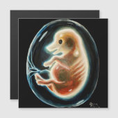 ブタ胚 (正面/裏面)