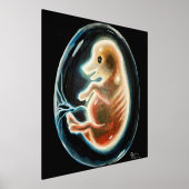 ブタ胚 箔ポスター (レイダウン)