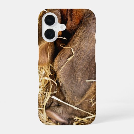 ブタ iPhone 16ケース (裏面)