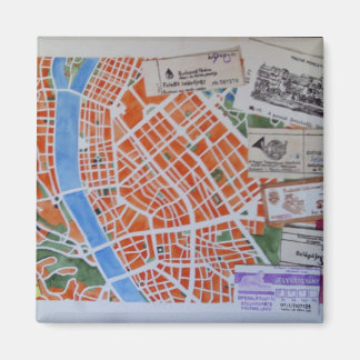 ブダペスト磁石用B マグネット