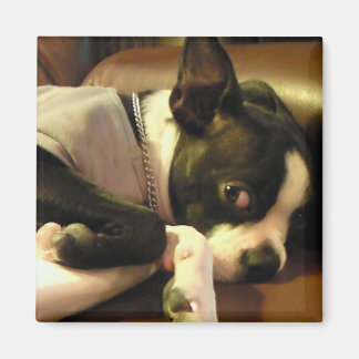 ブチ　マグネット　角 マグネット