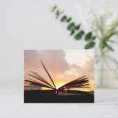 ブックとサンセットの写真を開く ポストカード (スタンド正面)