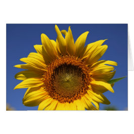 ブックのプレビュー