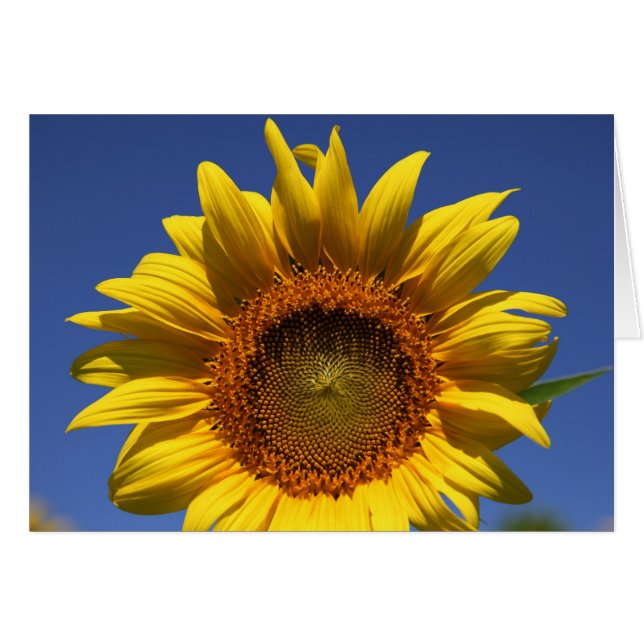 ブックのプレビュー (正面横)