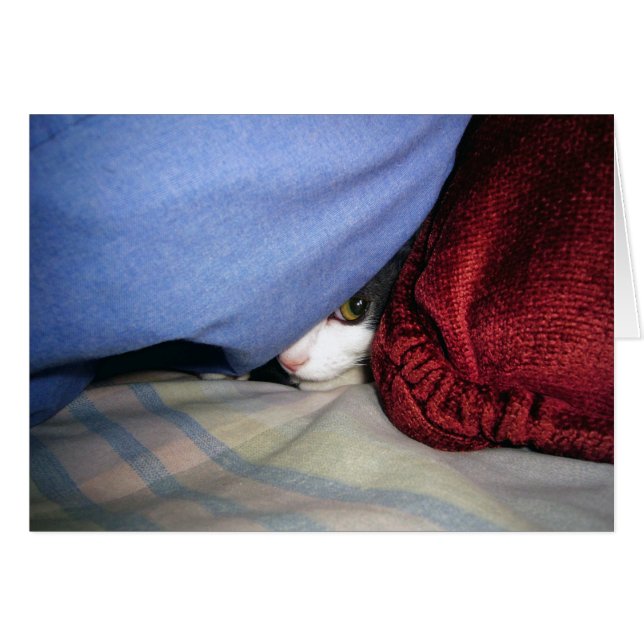 ブックのプレビュー (正面横)